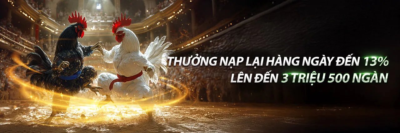 Đá gà trực tuyến kịch tính tại Bay365 chính thức