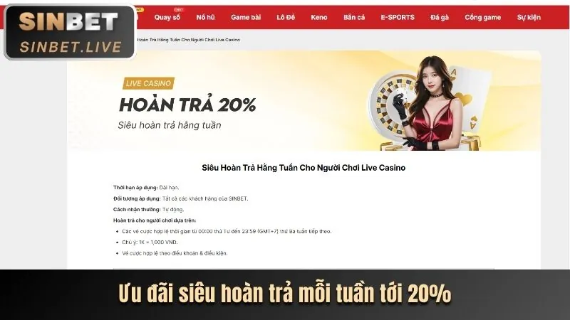 Tiền thưởng chào mừng thành viên mới bay365 chính thức